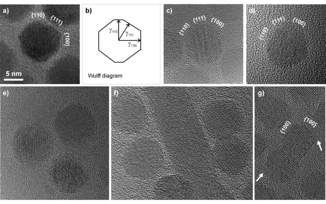 Energetics of Polar and Nonpolar Facets of PbSe Nanocrystals from Theory and Experiment