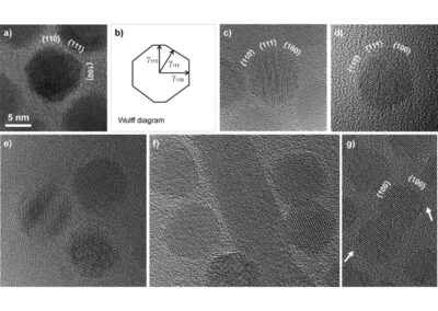 Energetics of Polar and Nonpolar Facets of PbSe Nanocrystals from Theory and Experiment