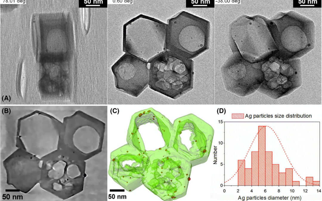 Fast ‘Operando’ electron nanotomography
