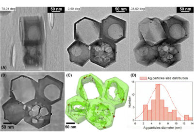 Fast ‘Operando’ electron nanotomography