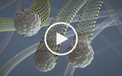 Visualizing the dynamic behaviours during carbon nanotube growth in extensive detail