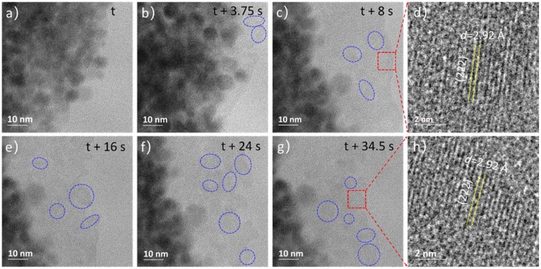 Structural Evolution and Dynamics of an In2O3 Catalyst for CO2 Hydrogenation to Methanol: An Operando XAS-XRD and In Situ TEM Study
