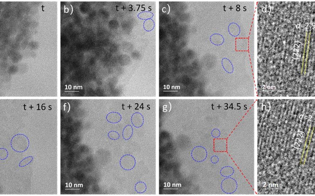 Structural Evolution and Dynamics of an In2O3 Catalyst for CO2 Hydrogenation to Methanol: An Operando XAS-XRD and In Situ TEM Study