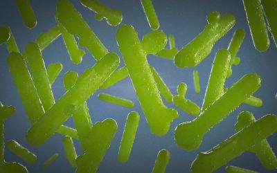 Improved insight into catalytic reduction of NOx for industrial processes