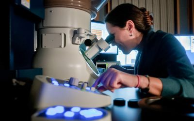 Interview with Prof. María Varela del Arco, GFMC, Complutense University of Madrid
