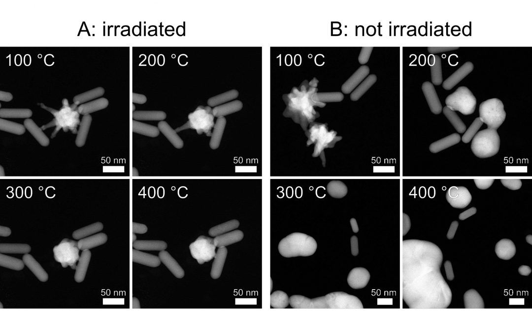 Effectiveness of reducing the influence of CTAB at the surface of metal nanoparticles during in situ heating studies by TEM