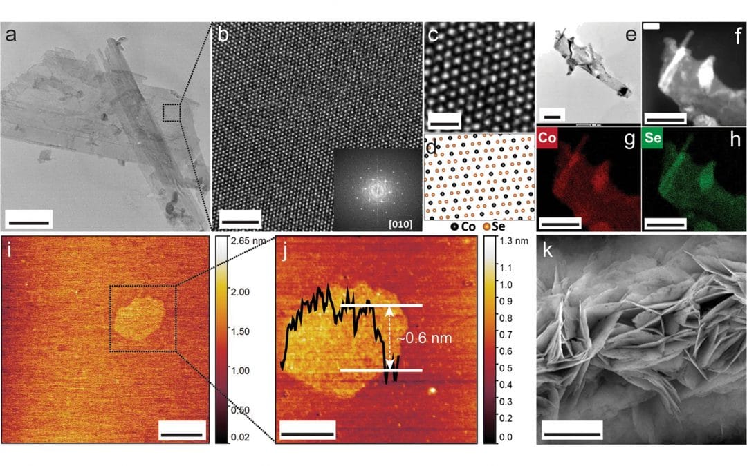In situ electron microscopy study of structural transformations in 2D CoSe2