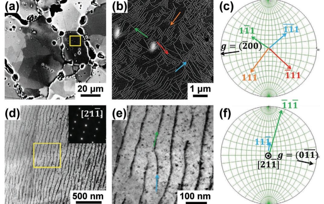 Parallel Dislocation Networks and Cottrell Atmospheres Reduce Thermal Conductivity of PbTe Thermoelectrics