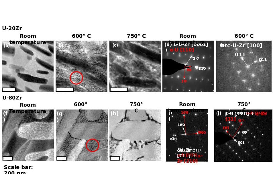Understanding Spinodal and Binodal Phase Transformations in U-50Zr