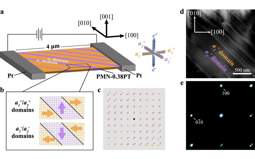 Direct observation of nanoscale dynamics of ferroelectric degradation