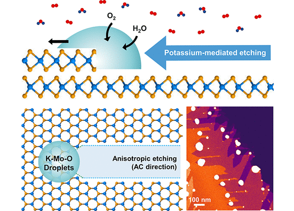 Elucidation of Novel Potassium-Mediated Oxidation and Etching of Two-Dimensional Transition Metal Dichalcogenides