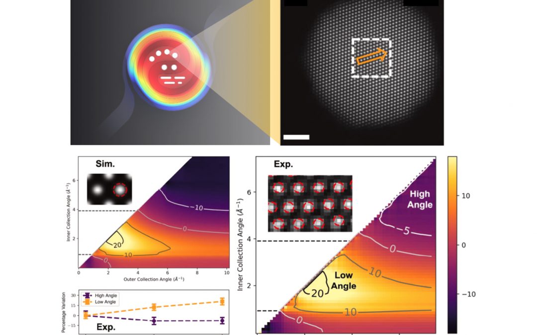 Scattering angle dependence of temperature susceptivity of electron scattering in scanning transmission electron microscopy