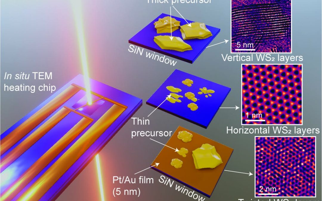 Selective Vertical and Horizontal Growth of 2D WS2 Revealed by In Situ Thermolysis using Transmission Electron Microscopy