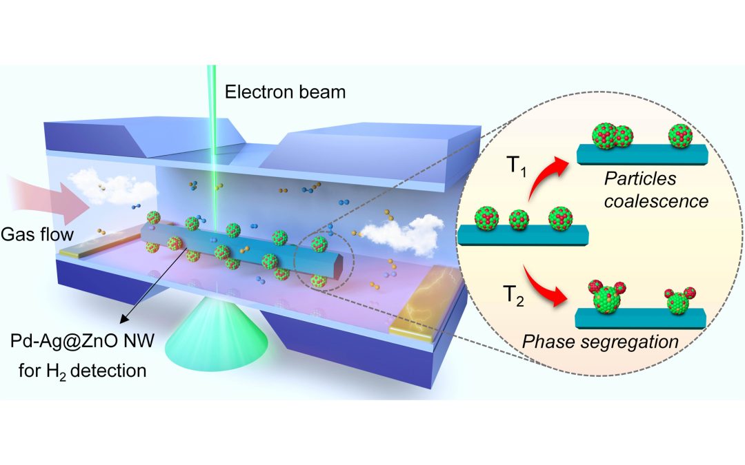 Failure Mechanism of Palladium-Silver Nanocatalysts-Sensitized Hydrogen Microsensor Revealed by In-Situ Transmission Electron Microscopy