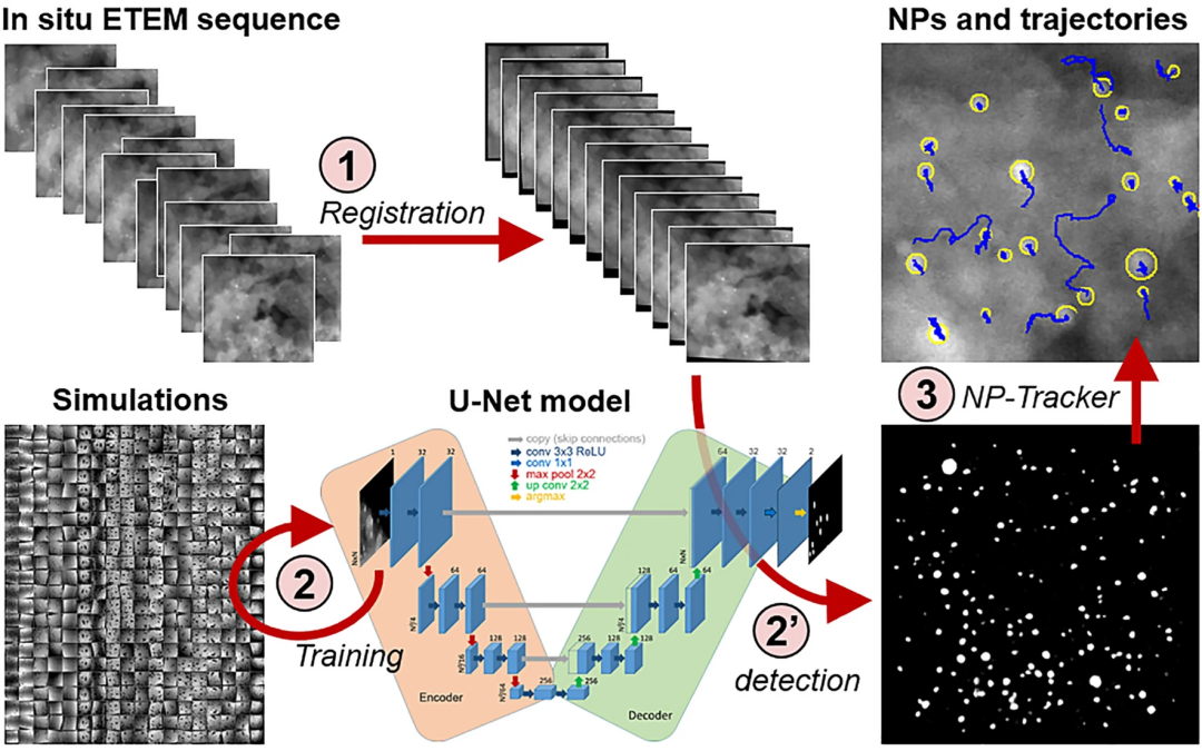 Deep learning detection of nanoparticles and multiple object tracking of their dynamic evolution during in situ ETEM studies