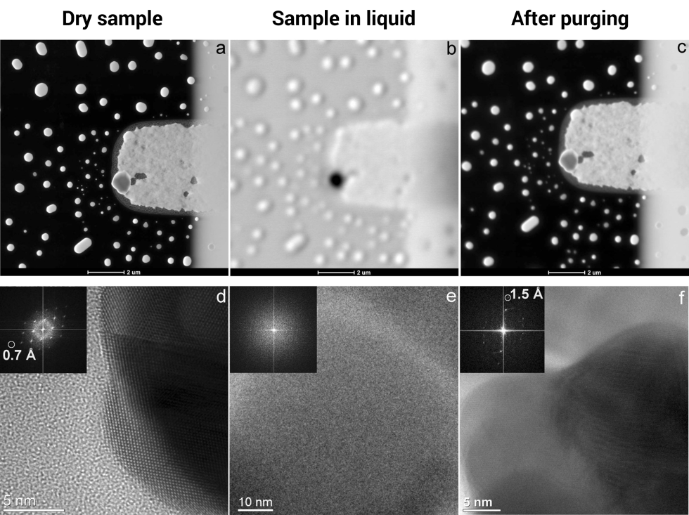 Liquid Supply System DENSsolutions
