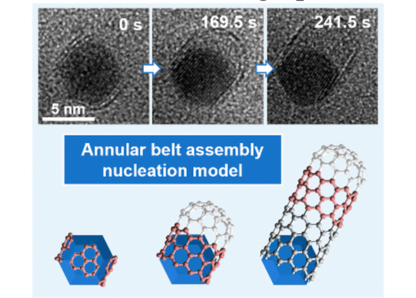 Nucleation of Single-Wall Carbon Nanotubes from Faceted Pt Catalyst Particles Revealed by in Situ Transmission Electron Microscopy