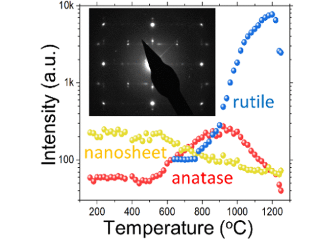Tunable Phase Transformation Behavior of Two-Dimensional TiO2 Revealed by In Situ Transmission Electron Microscopy