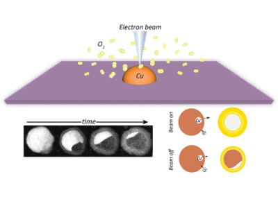 Electron Beam Induced Enhancement and Suppression of Oxidation in Cu Nanoparticles in Environmental Scanning Transmission Electron Microscopy