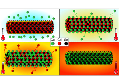 Thermally Promoted Cation Exchange at the Solid State in the Transmission Electron Microscope: How It Actually Works