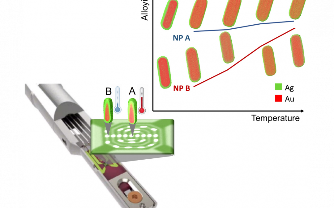 Estimation of Temperature Homogeneity in MEMS-Based Heating Nanochips via Quantitative HAADF-STEM Tomography