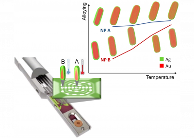 Estimation of Temperature Homogeneity in MEMS-Based Heating Nanochips via Quantitative HAADF-STEM Tomography