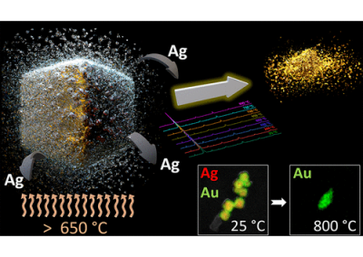 Thermal Behavior of Silver–Gold Core–Shell Nanocubes: In Situ X-ray Diffraction and In Situ Electron Microscopy (SEM and TEM)