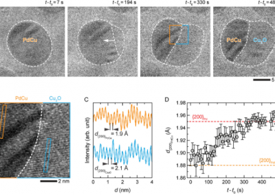 Phase Segregation in PdCu Alloy Nanoparticles During CO Oxidation Reaction at Atmospheric Pressure