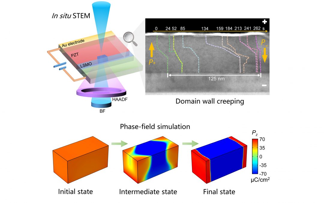 In Situ Observation of Domain Wall Lateral Creeping in a Ferroelectric Capacitor