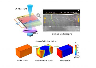 In Situ Observation of Domain Wall Lateral Creeping in a Ferroelectric Capacitor