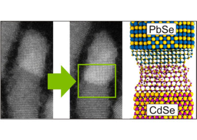Atomic Resolution Monitoring of Cation Exchange in CdSe-PbSe Heteronanocrystals during Epitaxial Solid–Solid–Vapor Growth