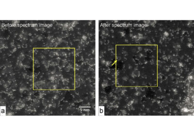 Atomic resolution imaging and spectroscopy of barium atoms and functional groups on graphene oxide
