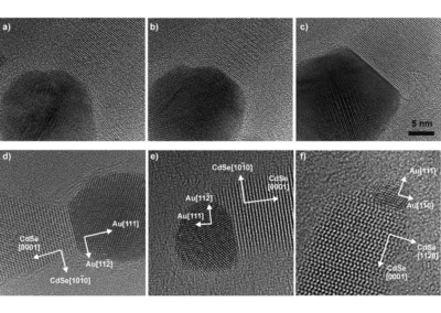 Epitaxial CdSe-Au Nanocrystal Heterostructures by Thermal Annealing