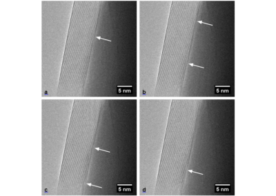 Quantifying the growth of individual graphene layers by in situ environmental transmission electron microscopy