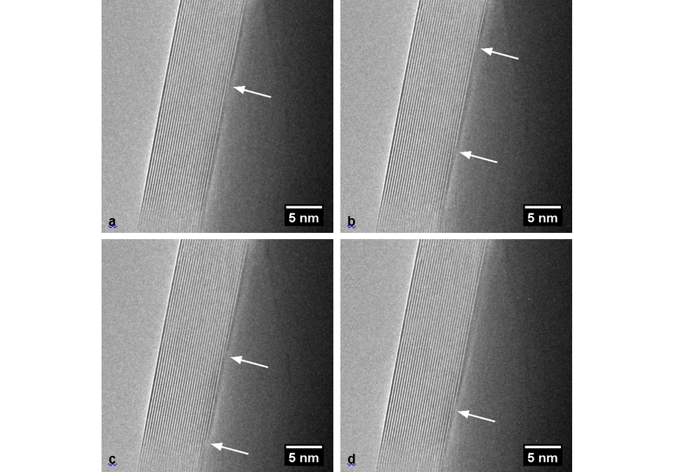 Quantifying the growth of individual graphene layers by in situ environmental transmission electron microscopy