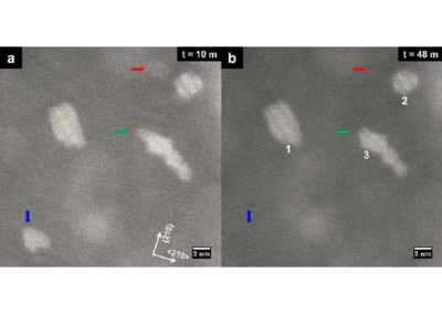 Real-Time Atomic Scale Imaging of Nanostructural Evolution in Aluminum Alloys