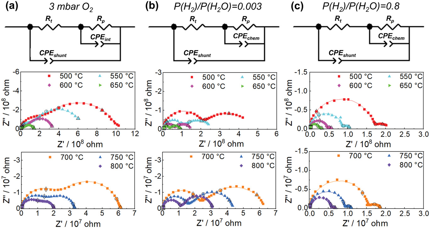 Esmaeil article_Figure 1