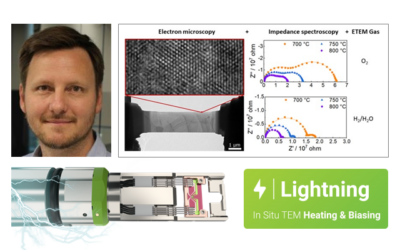 Breaking boundaries: Electrochemical impedance spectroscopy meets environmental TEM