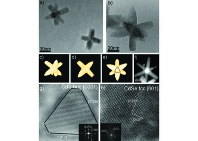 Thermally Induced Structural and Morphological Changes of CdSe/CdS Octapods